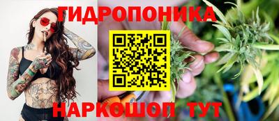 ALPHA PVP Прохладный