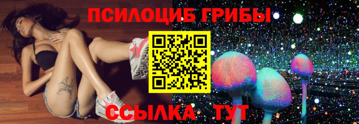 Галлюциногенные грибы MAGIC MUSHROOMS  Вход с VPN  Псилоцибиновые грибы Psilocybine cubensis  Амурск 